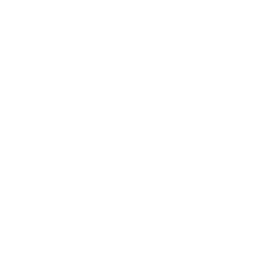 HDI Seguros